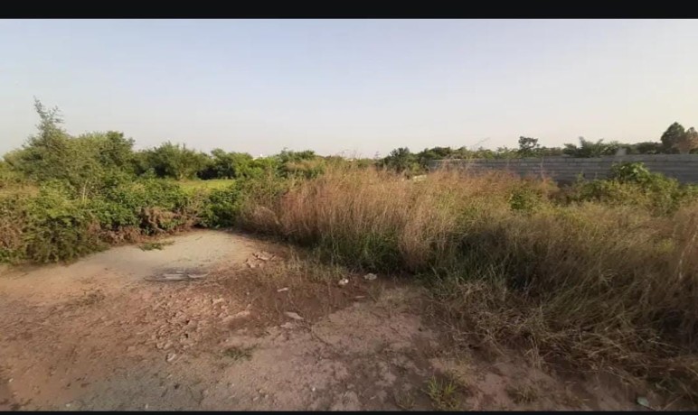 5-marla-level-plot-for-sale-plot-for-sale-in-islamabad-big-3