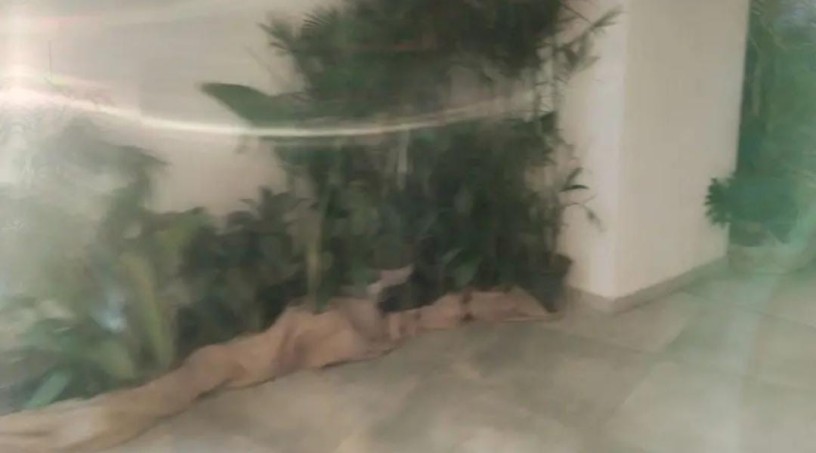 shop-available-for-sale-shop-for-sale-in-rawalpindi-gt-road-big-0