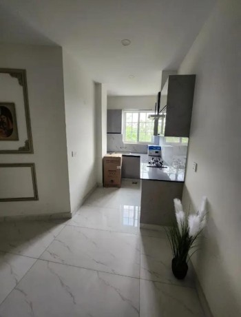 appartment-for-rent-in-gullberg-lahore-big-2