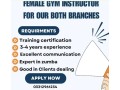 fitness-wellness-coach-small-0