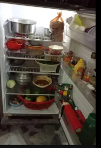 hair-large-size-refrigerator-power-for-cooling-big-1