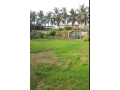 open-plot-for-rent-near-steel-mill-port-qasim-small-0