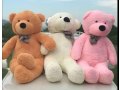 teddy-bear-stuff-toy-gaint-size-huge-small-3