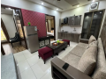 furnished-apartmentflat-for-rent-on-per-day-in-citi-housing-small-1