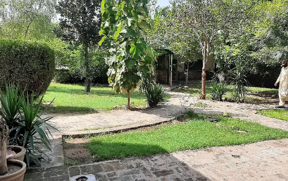 2 Kanal Developed Commercial Plot Available For Rent