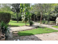 2-kanal-developed-commercial-plot-available-for-rent-small-0