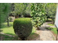 2-kanal-developed-commercial-plot-available-for-rent-small-2