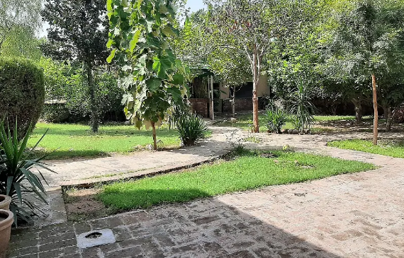 2-kanal-developed-commercial-plot-available-for-rent-big-1
