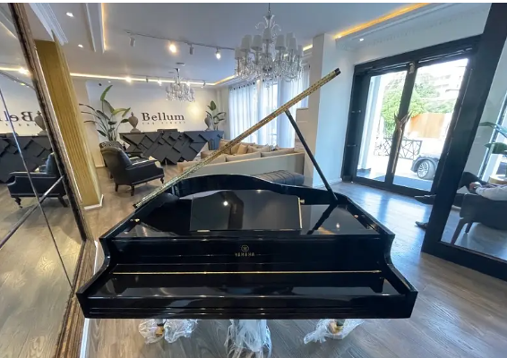Bassclef Grand Piano/Grand Piano/piano/pool table/Billiards/rugs/sofa