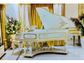 bassclef-grand-pianogrand-pianopianopool-tablebilliardsrugssofa-small-1