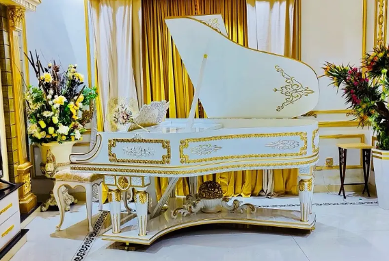 bassclef-grand-pianogrand-pianopianopool-tablebilliardsrugssofa-big-1