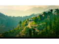 1-bed-apartment-710-sq-ft-for-exchange-in-hill-view-housing-society-islamabad-small-3