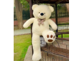 teady-bears-imported-premium-quantity-available-small-1