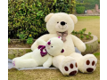 teady-bears-imported-premium-quantity-available-small-0