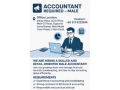 we-are-hiring-a-skilled-and-detail-oriented-accountant-small-0