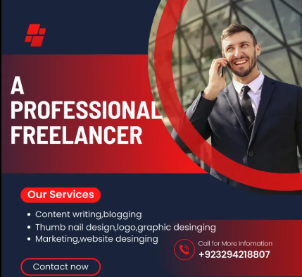 a-professional-freelancer-with-multiple-skills-big-0