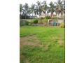 open-plot-for-rent-near-steel-mill-port-qasim-small-0