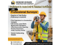 professional-surveyor-required-small-0