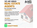 we-are-hiring-real-estate-agents-jobs-in-lahore-customer-dealing-small-0