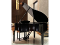 bassclef-grand-pianogrand-pianopianopool-tablesnookersrugssofa-small-2
