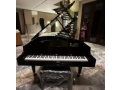 bassclef-grand-pianogrand-pianopianopool-tablesnookersrugssofa-small-1