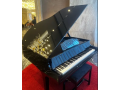 bassclef-grand-pianogrand-pianopianopool-tablesnookersrugssofa-small-0
