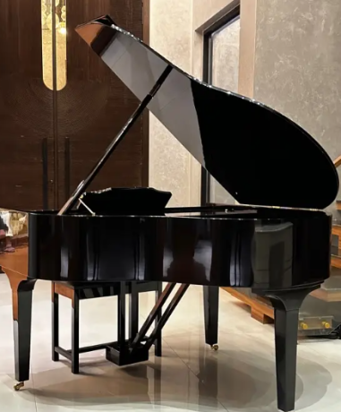 bassclef-grand-pianogrand-pianopianopool-tablesnookersrugssofa-big-2