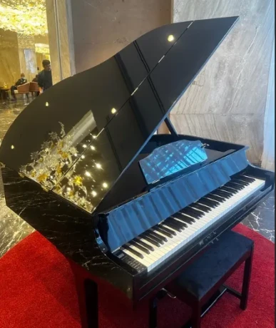 Bassclef Grand Piano/Grand Piano/piano/pool table/snookers/rugs/sofa