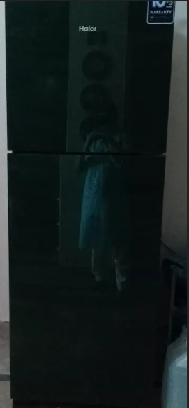 Haier HRF336 EP Refrigerator Stunning Green, EnergyEfficient