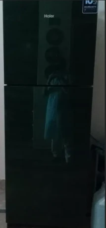 Haier HRF336 EP Refrigerator Stunning Green, EnergyEfficient