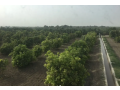 46-acre-in-nasarpur-full-abad-agricultural-land-small-0