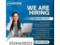 assignment-job-part-time-full-time-job-job-for-male-and-female-small-0