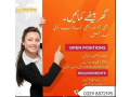 assignment-job-part-time-full-time-job-job-for-male-and-female-small-0