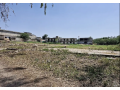 24-kanal-commercial-land-available-for-rent-small-2