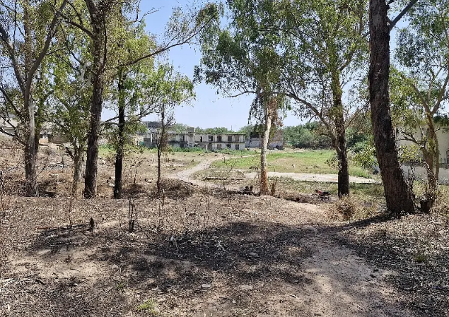 24-kanal-commercial-land-available-for-rent-big-0