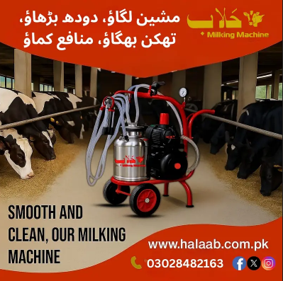 cow-milking-machine-ruber-mait-showring-system-milking-machine-big-0