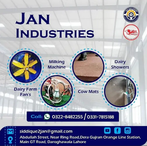 Milking machine|Dairy farming machine|Dairy milk chiller cows buffalo