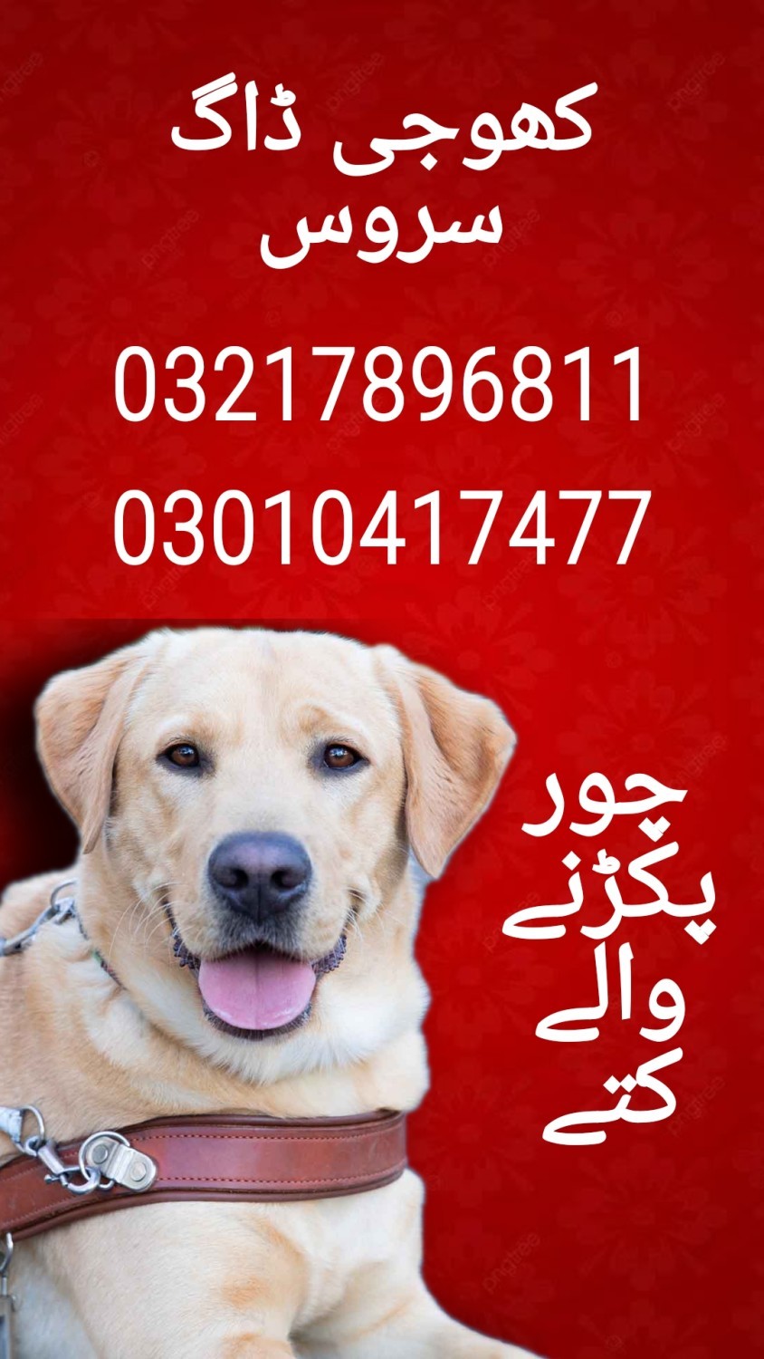 Army dog center 03005462358_03336974100