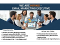 email-marketing-executive-required-male-female-jobs-jobs-small-0