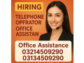 female-telephone-operator-small-0
