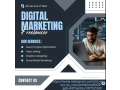 digital-marketing-freelance-small-0