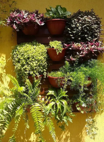 Al-Haider Nursery Indoor plansts Garden Decoration gardening metrail