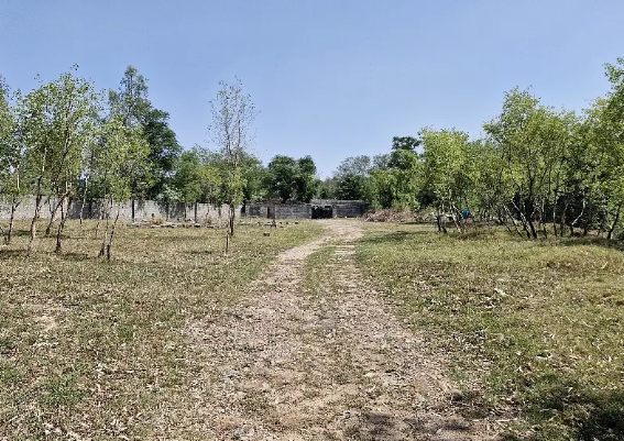 9 Kanal Commercial Land Available For Rent