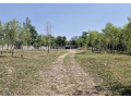 9-kanal-commercial-land-available-for-rent-small-0