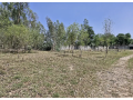 9-kanal-commercial-land-available-for-rent-small-1