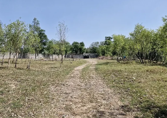 9 Kanal Commercial Land Available For Rent