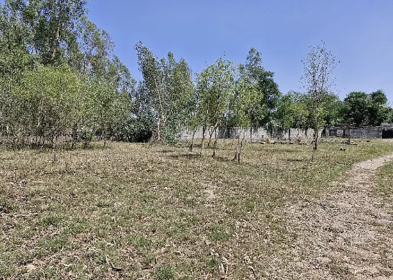 9-kanal-commercial-land-available-for-rent-big-1