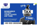 sales-tax-income-tax-return-tax-consultant-fbr-tax-filer-ntnsec-small-0