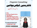 female-tax-accountant-small-0