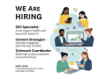 seo-experts-content-writers-experience-agents-required-jobs-small-0